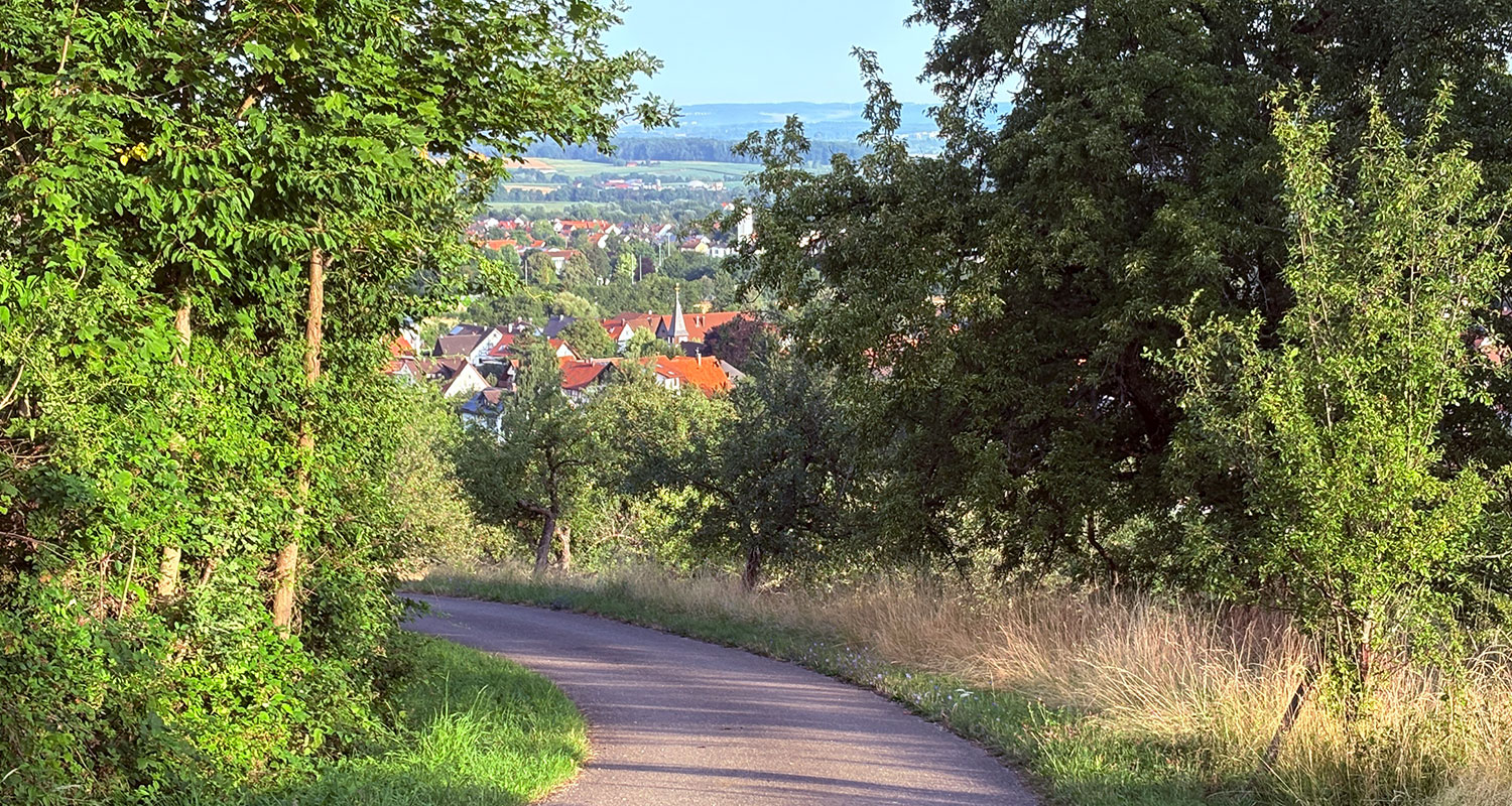 Bild: Blick auf Gammelshausen · Foto: DIGNUS.DE Medien