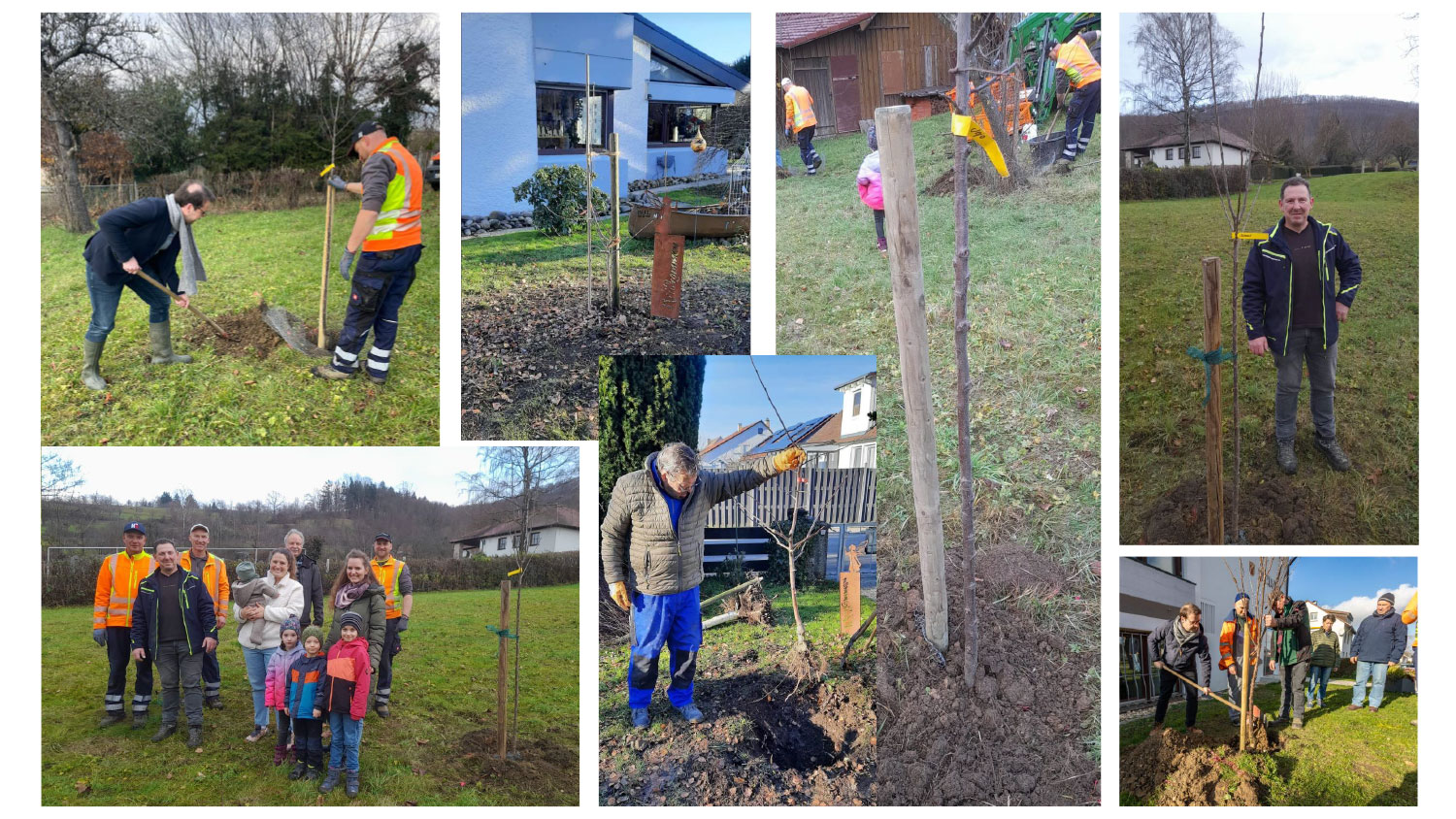 Bild: Baumpflanzaktionen in Gammelshausen Anfang 2026