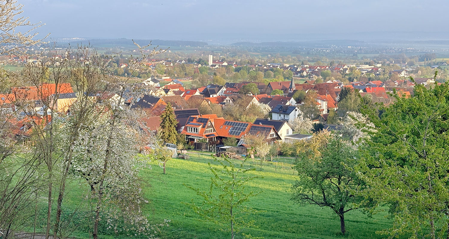 Bild: Obstblüte in Gammelshausen