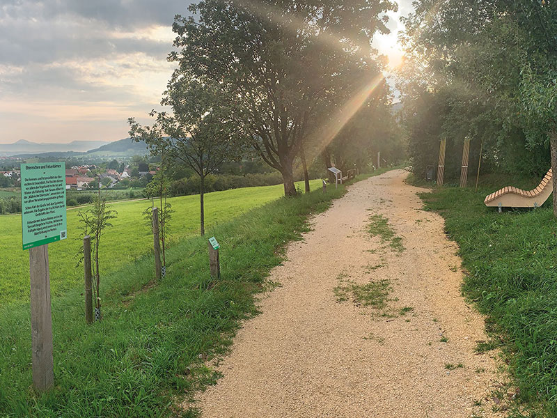 Bild: Blick auf ein Teilstück des Obstlehrpfads Foto: DIGNUS.DE Medien
